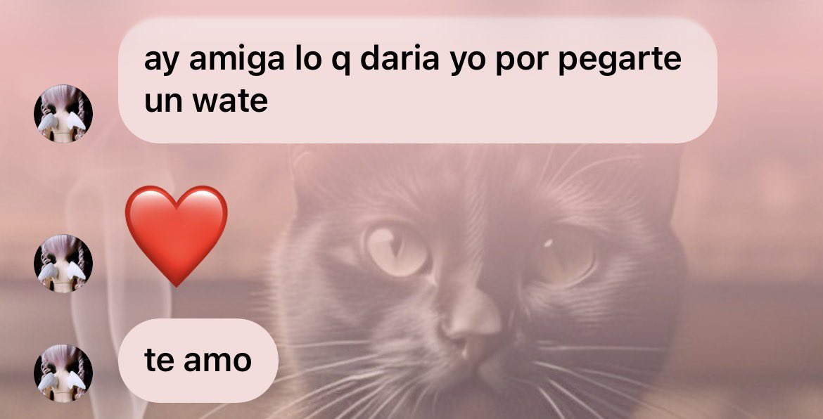 cutedollis's tweet photo. menos mal me ama imagínate si no https://t.co/w1fn2MBdMx