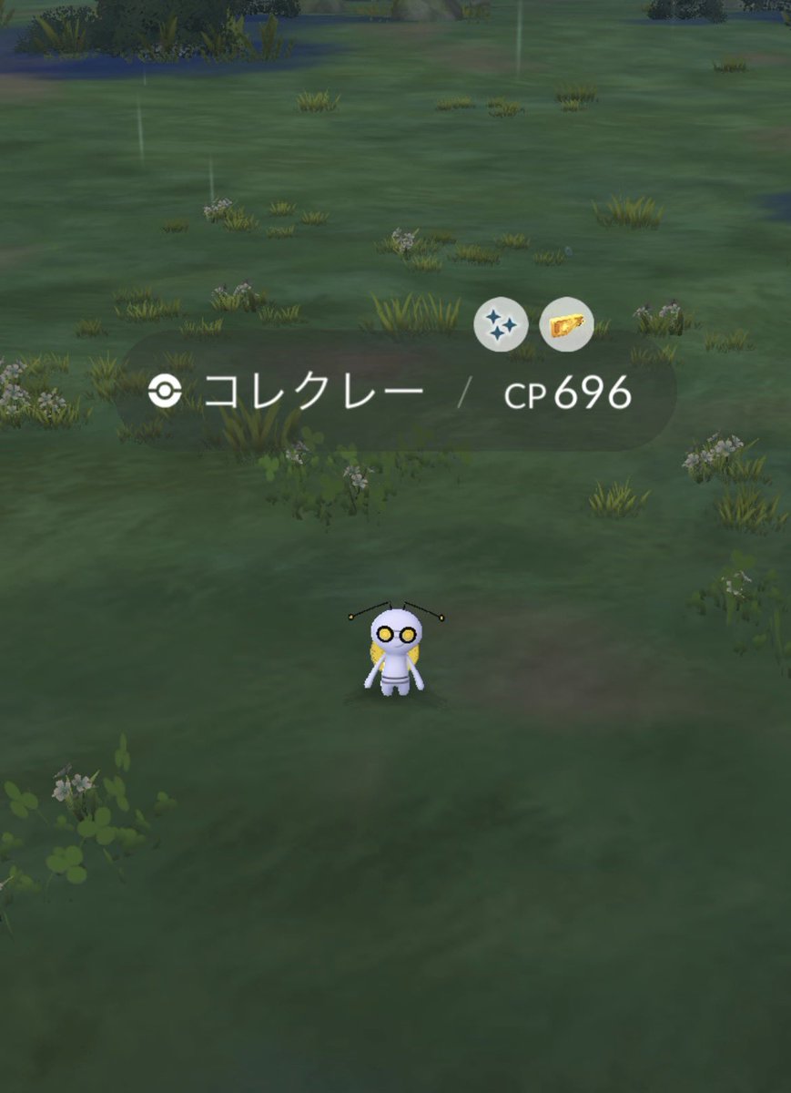 michimaru2427's tweet photo. 有識者に聞きたい
これってどのくらいレアですか？？
#ポケモンGO https://t.co/76HAIAO9lj