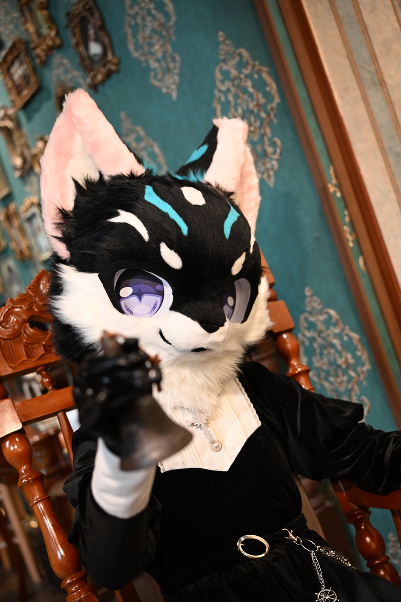 Gam_angbaru's tweet photo. 집사, 차를 준비해 주겠어?✨️

#fursuiteveryday #fursuit
📷💙 : @ Dia_snake90 https://t.co/5ip5ds1tJb