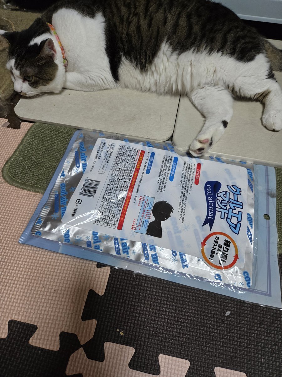 amkas25's tweet photo. クールなのに誰も来ない
珪藻土マットの方がいいみたい
#猫
#クールマット https://t.co/Xufehhtq06