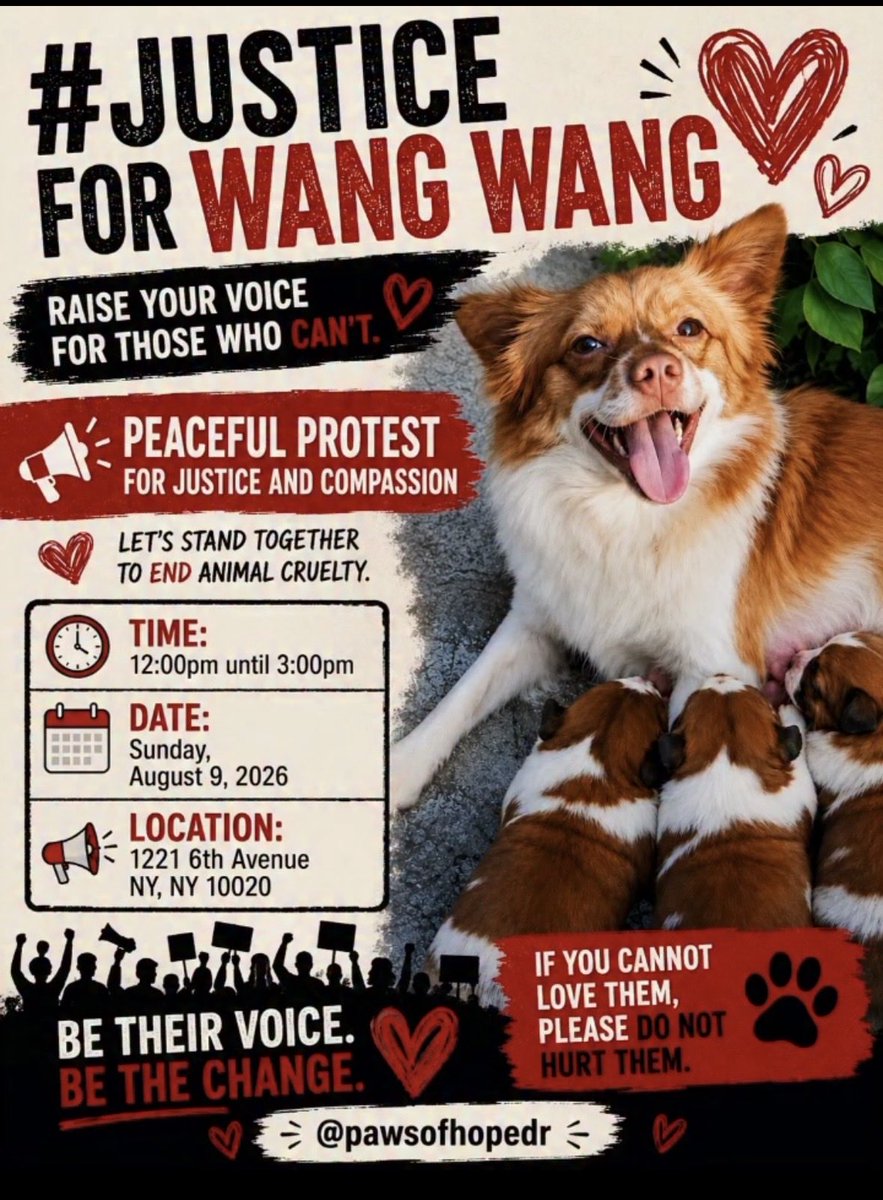 Nancenjo's tweet photo. Their lives mattered. Their pain was real. We are gathering peacefully to demand justice for Wang Wang and meaningful protection for animals.

Please show up, bring a sign, and help amplify their voices. Silence allows cruelty to continue.

#JusticeForWangWang #AnimalWelfare https://t.co/XikTcd67L2