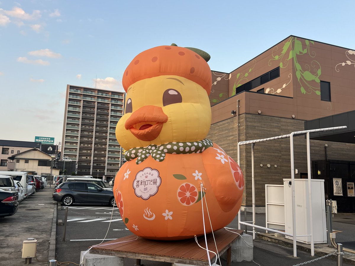 luckydonchan's tweet photo. 愛媛旅行
今治市街散策
満喫できましたー😸
完 https://t.co/O6vVL5ByrP