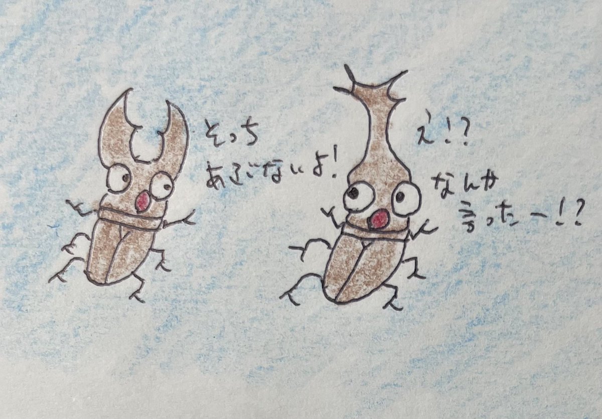 はちみつぼーや tweet media