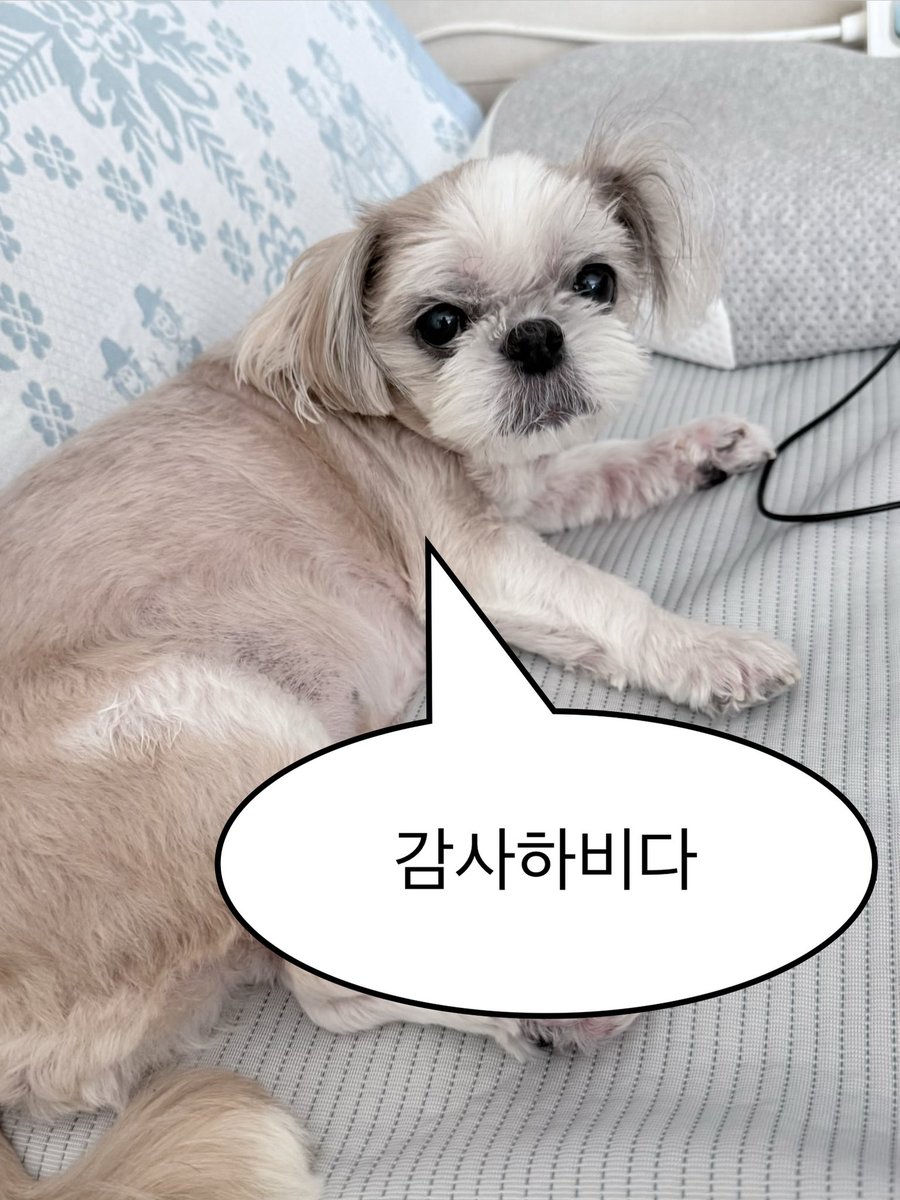 g_ouv_'s tweet photo. 저희집 강아지한테 공개하고 10억 받겟습니다 https://t.co/Uy1R2HKNEm