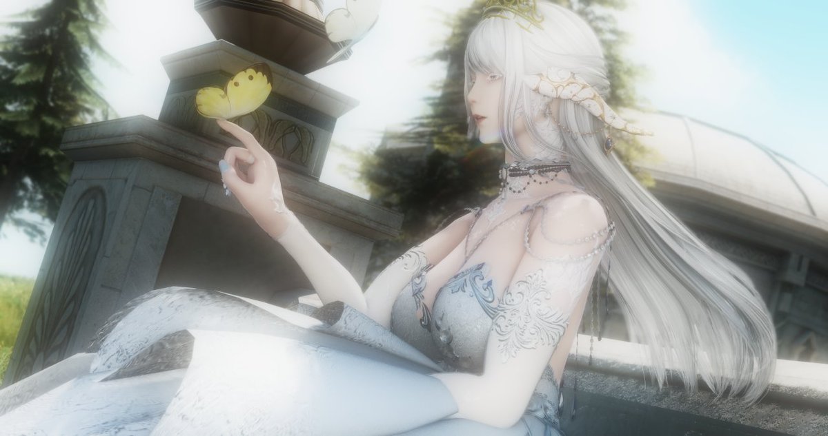yi_xinccc's tweet photo. 蝴蝶，今天的花香吗？🦋 https://t.co/NenNWspyKe