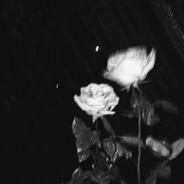 exsrcise's tweet photo. ͏

͏

͏

͏

͏

͏

͏

͏

͏

͏

͏

͏

͏

͏

͏

͏

͏

͏

͏

͏

͏

͏

͏

͏

͏

͏

͏

͏

͏

͏

͏

͏

͏

͏

͏

͏

͏

͏

͏

͏

͏

͏

͏

͏

͏

͏

͏

͏

͏

͏

͏

͏

͏

͏

͏

͏

͏

͏

͏͏

͏

͏

͏

͏

͏

͏

͏

͏

͏

͏

͏

͏

͏

͏

͏

͏

͏

͏

͏

͏

͏

͏

͏

͏

͏

͏
ᅠᅠᅠpembersihan tl https://t.co/Hqv4ThrfNT