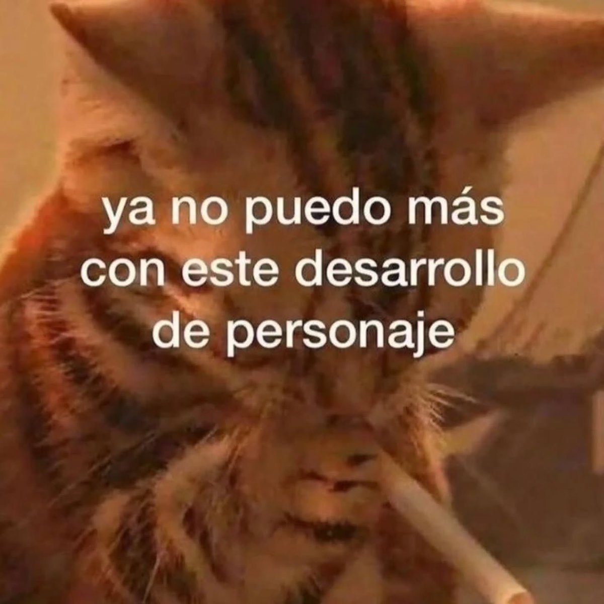 MundoDeBigotes's tweet photo. https://t.co/r6cf23jJfw
