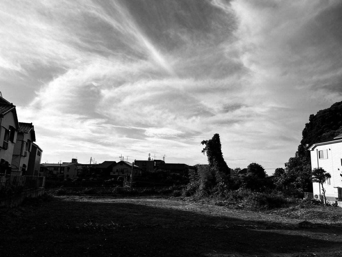 kawaguc32672649's tweet photo. #photography
#monochrome
#スマホ写真 https://t.co/2PSyh8nDee