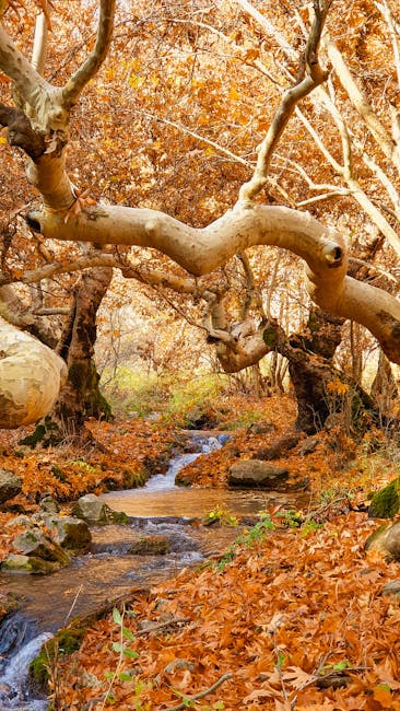 ArieScherbpt's tweet photo. هو النجاح المحتوى هو الصحيح في الأفق بالنسبة لك. تبادل الخاص بك كنز من الحكمة. شكرًا لك! lanelle goglia🚴 https://t.co/LM8usQB1wZ