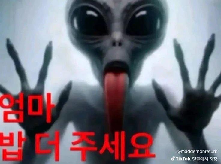 개자옥(상태:또리밋씨발아) tweet media