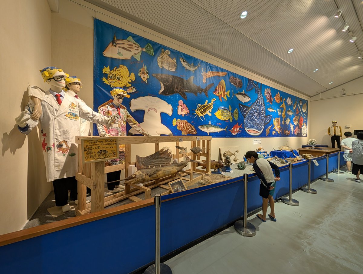 Jasmintmm's tweet photo. 千葉県館山の渚の博物館に行ってきた🐋

外壁からも分かるようにさかなクンの聖地✨
白衣に描いたイラストもお見事😳🌟 https://t.co/7tAYBD02oW