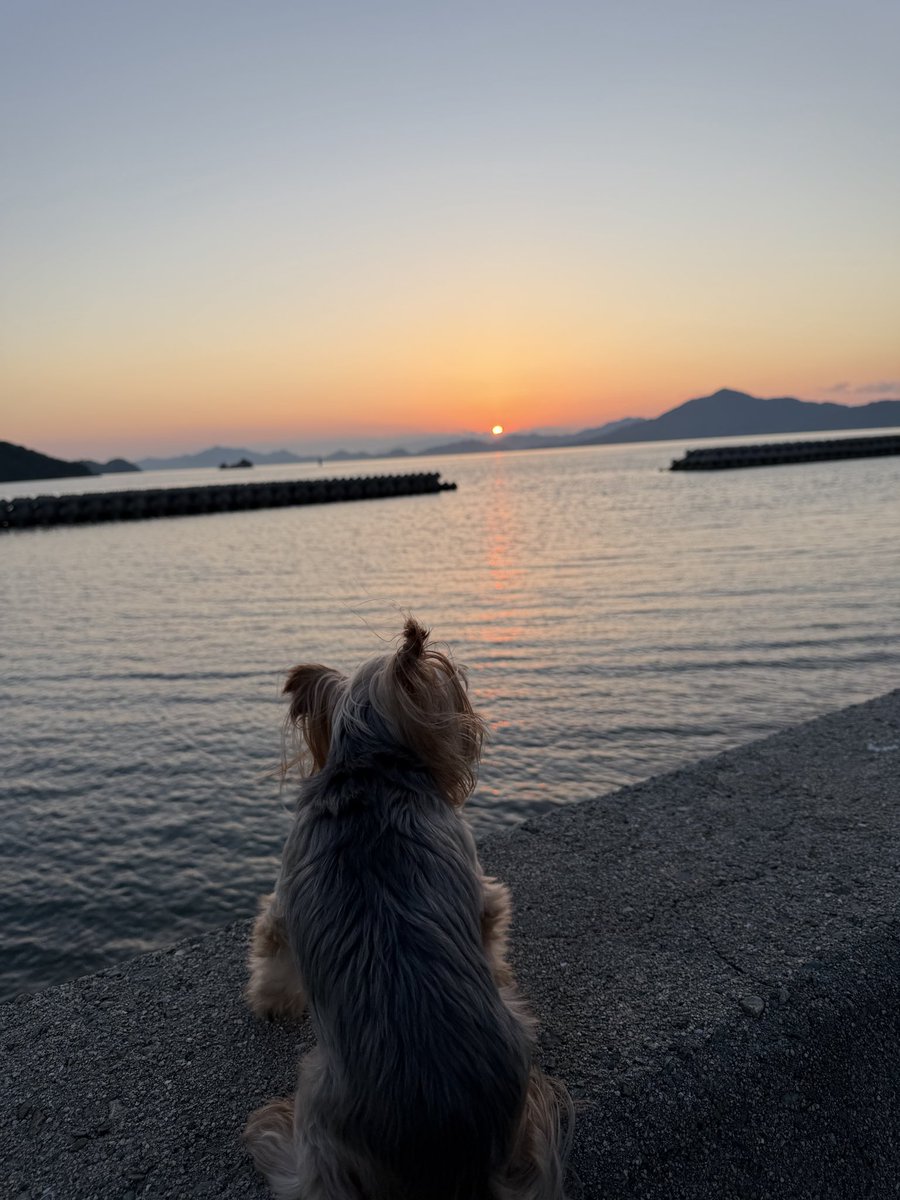 MamaMidai's tweet photo. 続きの夕焼け https://t.co/klYH0qsTAt