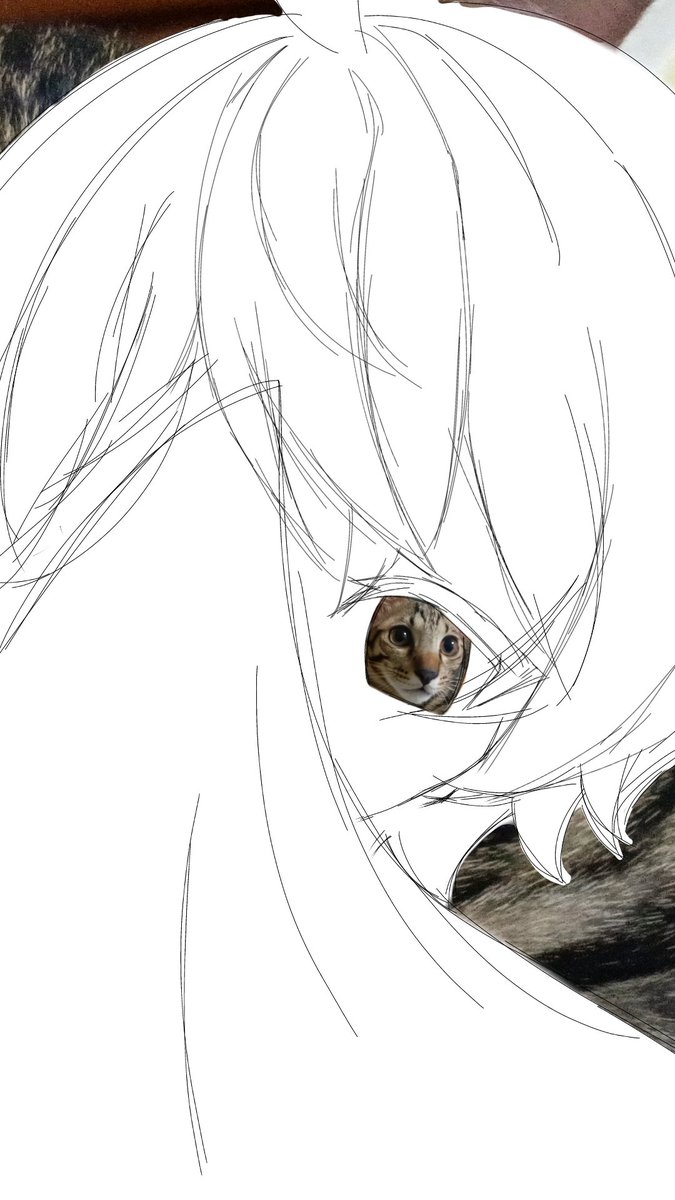 Taberuchi's tweet photo. 👀✨🔴😺
#ねこ #猫 #イラスト
#貓 https://t.co/o5nlALnLwY