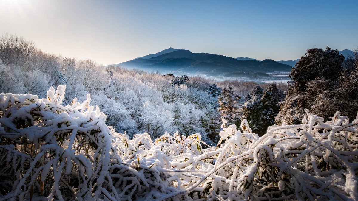 rocks_s93's tweet photo. #これを見た人は好きな山の朝写真をあげる https://t.co/5eWCMYRegR