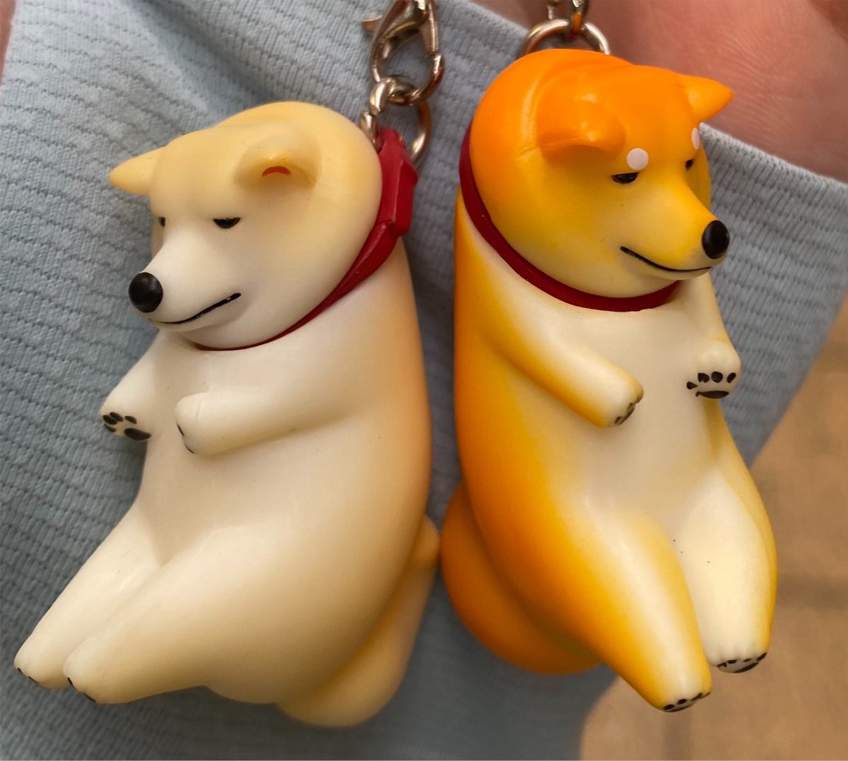 PiMan8686's tweet photo. @Sota_s2_mprm 私もやったよ〜！
可愛すぎるよな笑 https://t.co/sovJvAdBAG