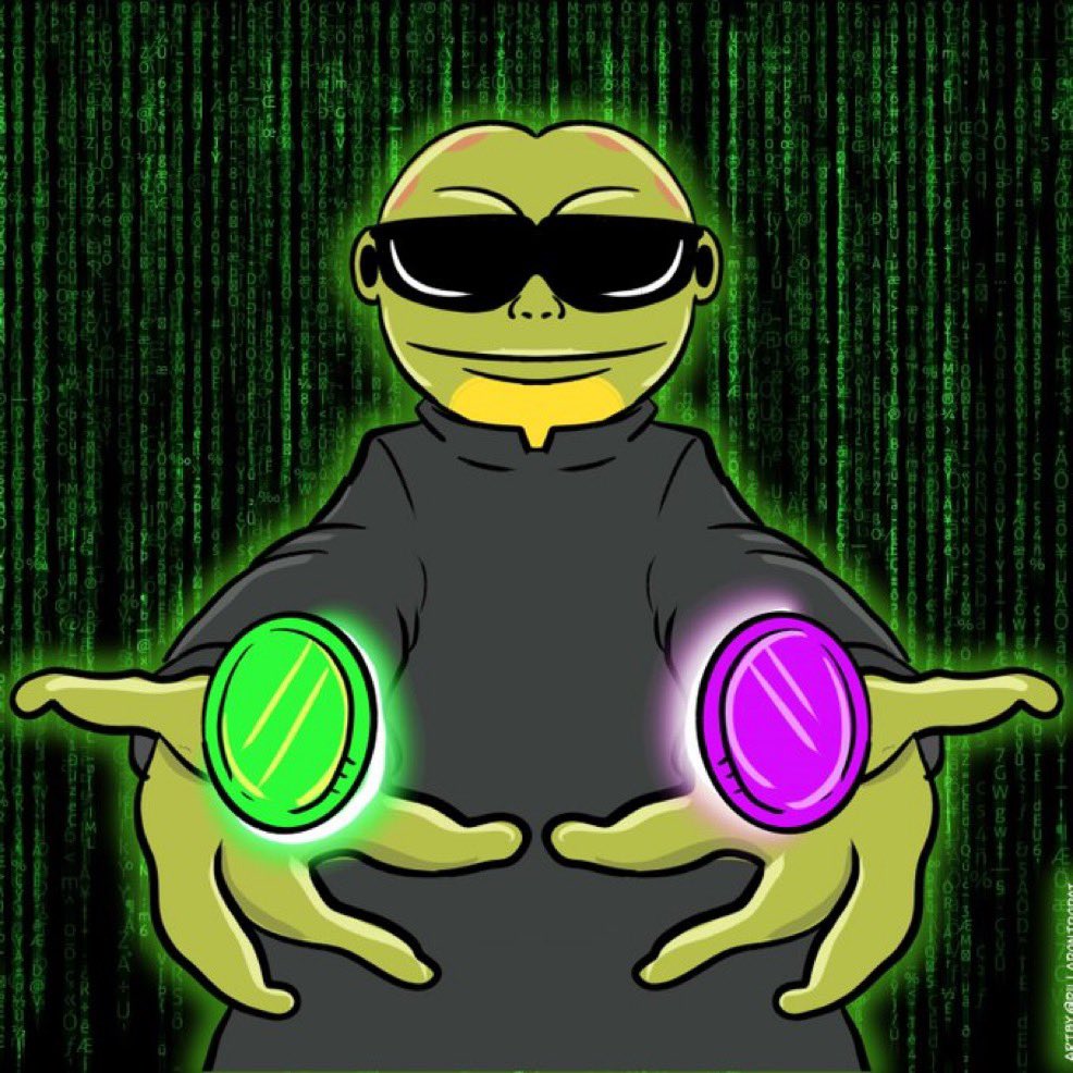 hoppymemes's tweet photo. Choose one https://t.co/Fkl6lXV0Q8