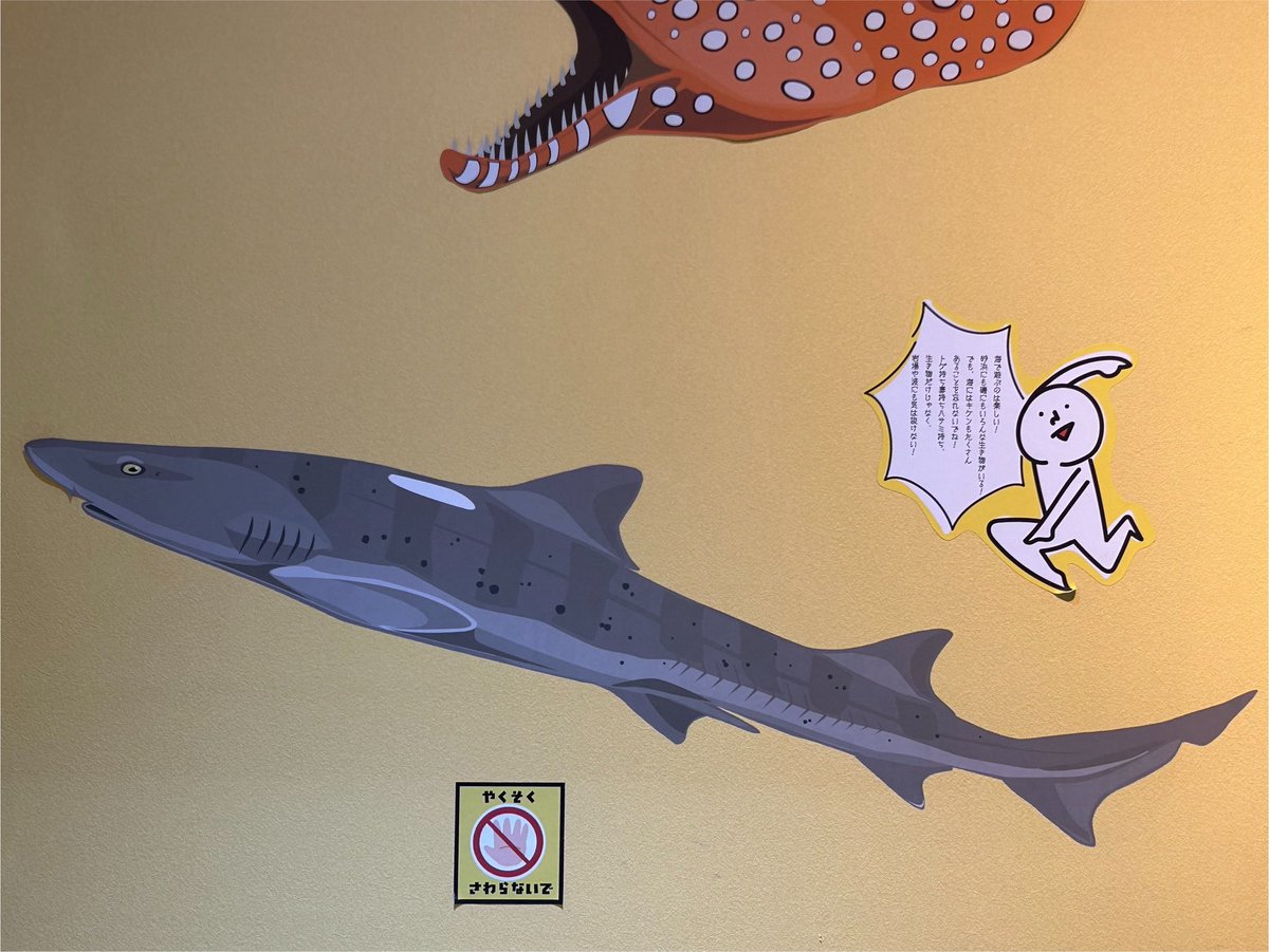 e3318tago's tweet photo. でんじゃらすすいぞくかん（2026.7.26）
さいたま水族館
　
#さいたま水族館
#水族館
#サメ
#shark https://t.co/OhlHN3hAv0