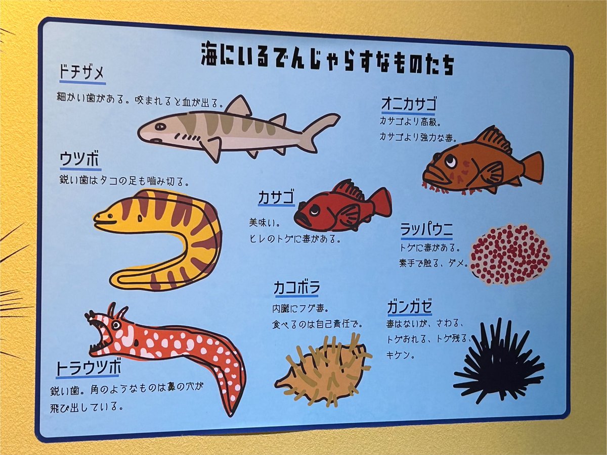 e3318tago's tweet photo. でんじゃらすすいぞくかん（2026.7.26）
さいたま水族館
　
#さいたま水族館
#水族館
#サメ
#shark https://t.co/OhlHN3hAv0