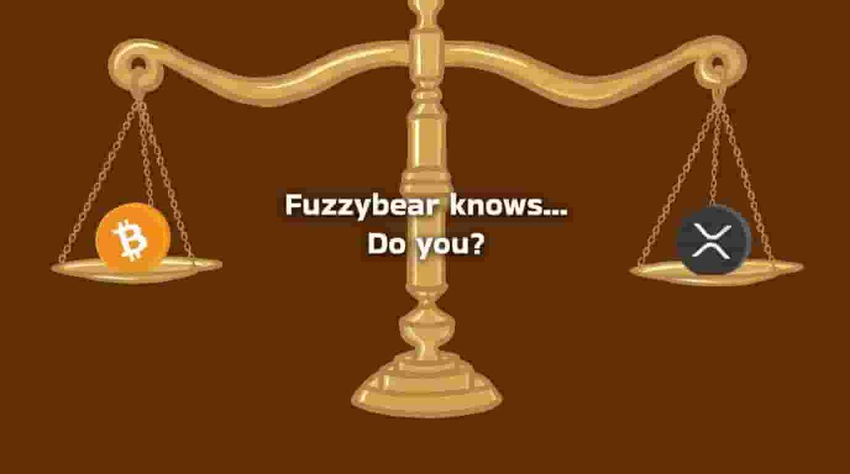 LecikJulie's tweet photo. We’re back. 🐻 The Fuzzy account has been restored - https://t.co/kncQmHomZf https://t.co/WJkSFTrs5m