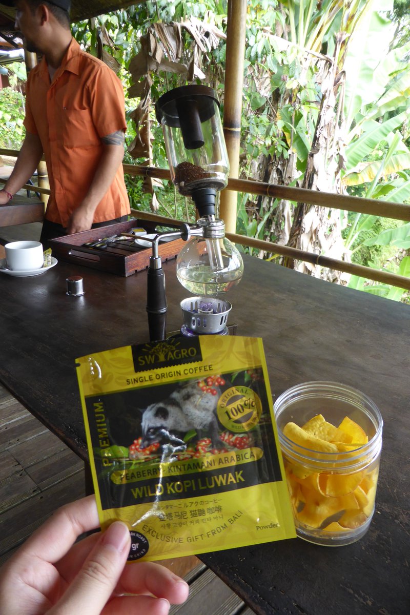 _kyunangel's tweet photo. インドネシア🇮🇩 バリ島
📍 Segara Windhu Coffee Plantation LUWAK COFFEE 

昼に行ったらジャコウネコ寝てた💤コーヒー,ティーの飲み比べできる！(飲み比べは無料)私は別でジャコウネコの雄のコーヒー(1杯80,000ルピア 約731円)を頼んだ☕︎雄は雌より苦味があるらしい。美味しかった❣️ https://t.co/vGUFT65KaS