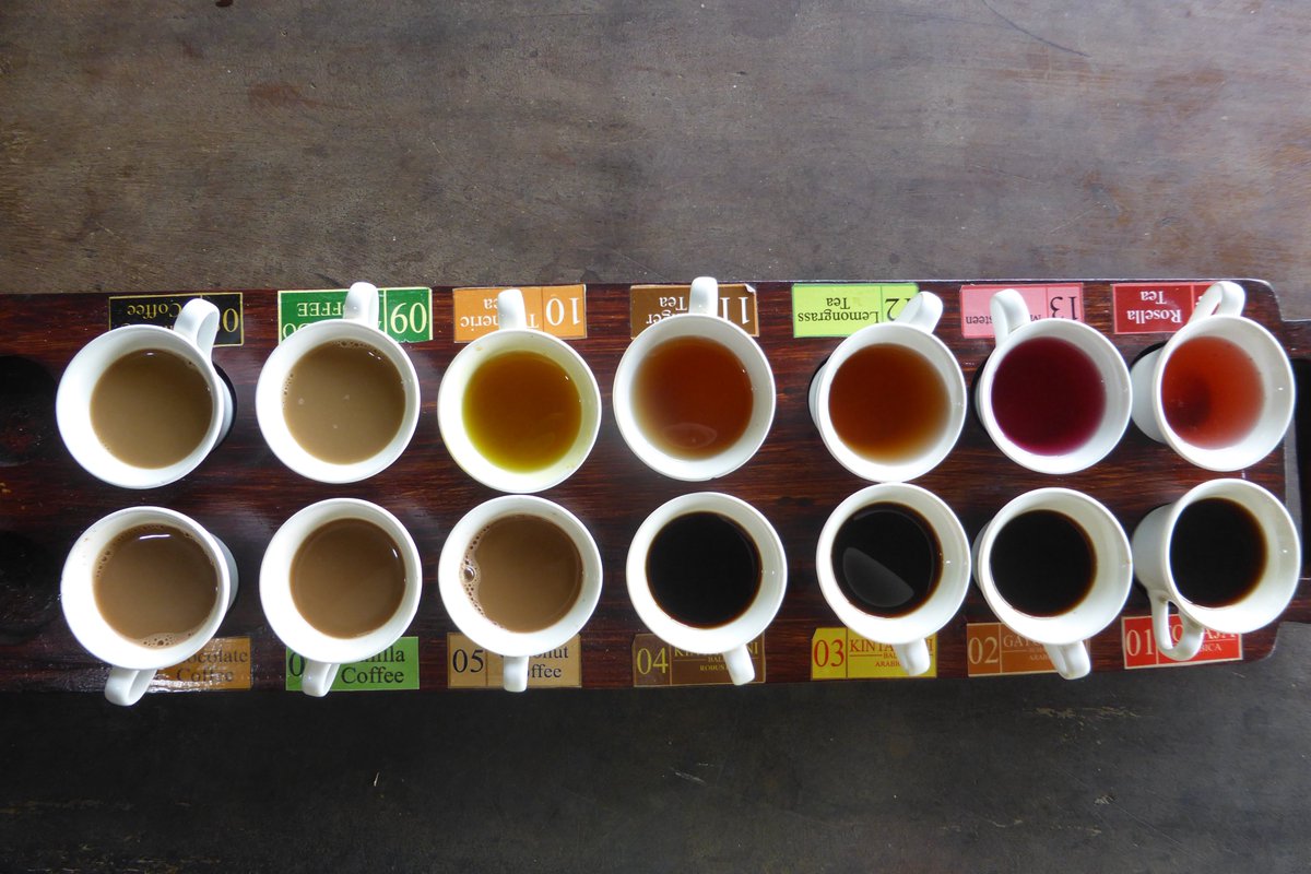 _kyunangel's tweet photo. インドネシア🇮🇩 バリ島
📍 Segara Windhu Coffee Plantation LUWAK COFFEE 

昼に行ったらジャコウネコ寝てた💤コーヒー,ティーの飲み比べできる！(飲み比べは無料)私は別でジャコウネコの雄のコーヒー(1杯80,000ルピア 約731円)を頼んだ☕︎雄は雌より苦味があるらしい。美味しかった❣️ https://t.co/vGUFT65KaS