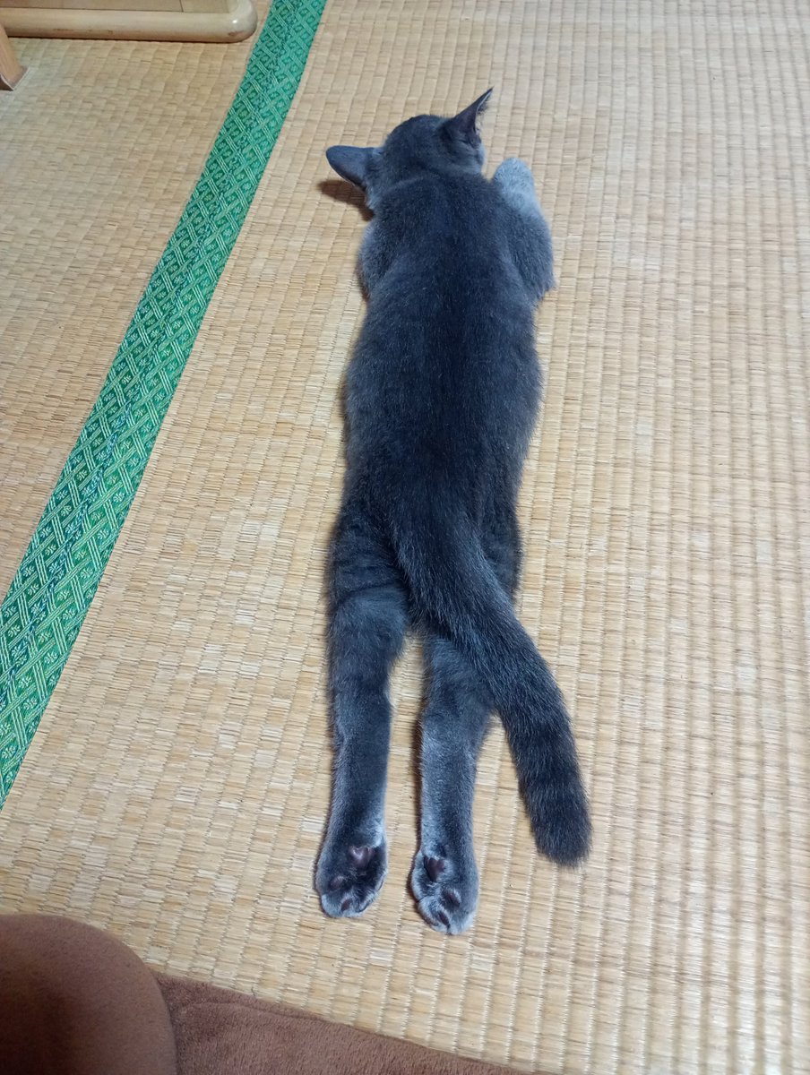 rize07's tweet photo. https://t.co/19VKv4fjIm
