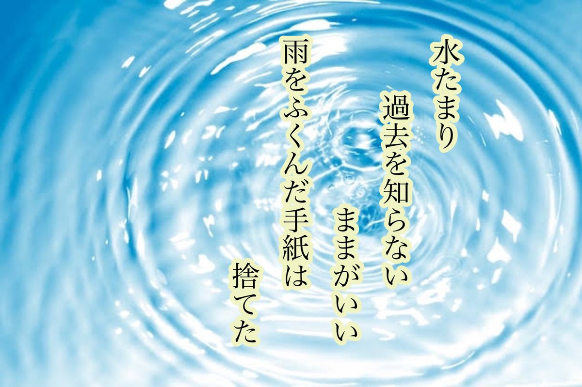 よっちゃん tweet media