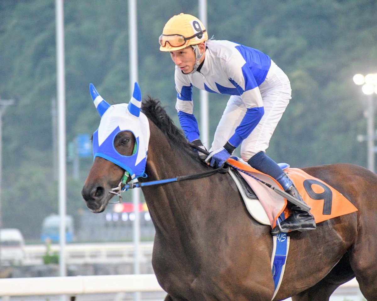 tttt0145's tweet photo. 佐原さん、最後のレースは３着でした🥉

#高知競馬
#佐原秀泰
#マイネルヘルツアス https://t.co/eFStUXvJco