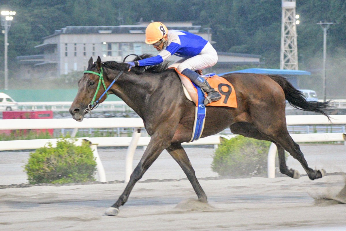 tttt0145's tweet photo. 佐原さん、最後のレースは３着でした🥉

#高知競馬
#佐原秀泰
#マイネルヘルツアス https://t.co/eFStUXvJco