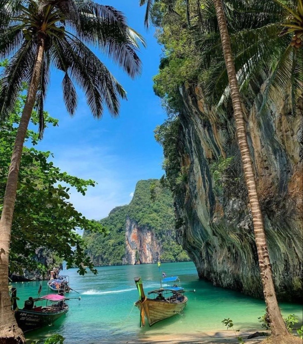 ButDansLaVie's tweet photo. Partir en Thaïlande 🐘 https://t.co/FHovaalp5t