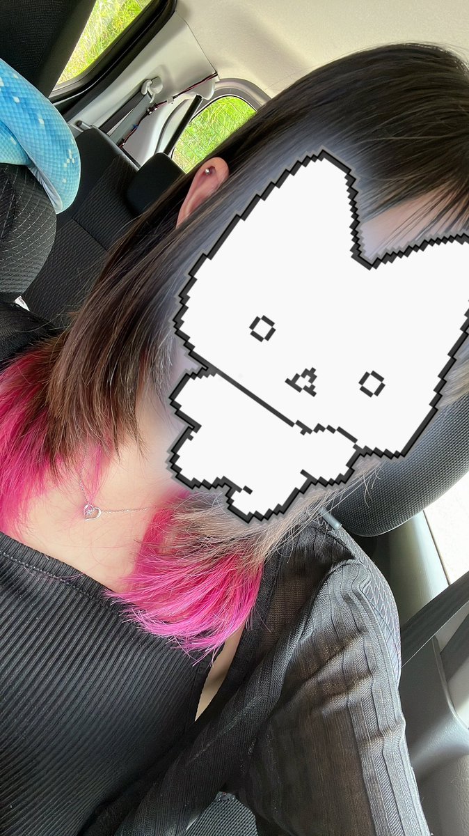 muua_a_'s tweet photo. 垢変えたばっかなので
Xで絡める人ください|*･ω･)ﾁﾗｯ

🚺￤06￤enjoy￤discord🙆‍♀️

♡or↻で気になりさんお迎え🚗³₃
フォロバ絶対します🥺

 #シャドバWB  #シャドバ勢と繋がりたい 
 #荒野行動  #荒野女子  #荒野してる人と繋がりたい https://t.co/Q0AnBFPquq