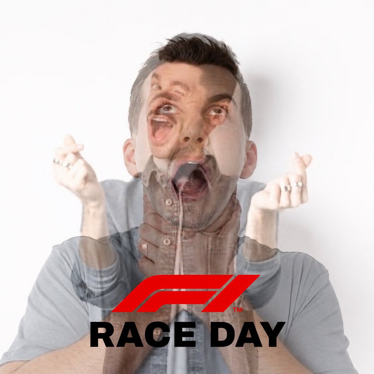 F1HardWalls4K's tweet photo. the Hungarian Grand Prix race is today https://t.co/bqIV9Pd22h