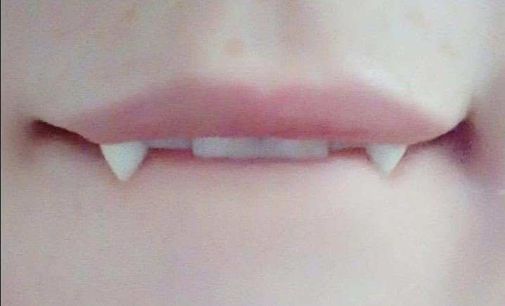 i4pup's tweet photo. 🦷🎀 https://t.co/7LfcR5GDXt