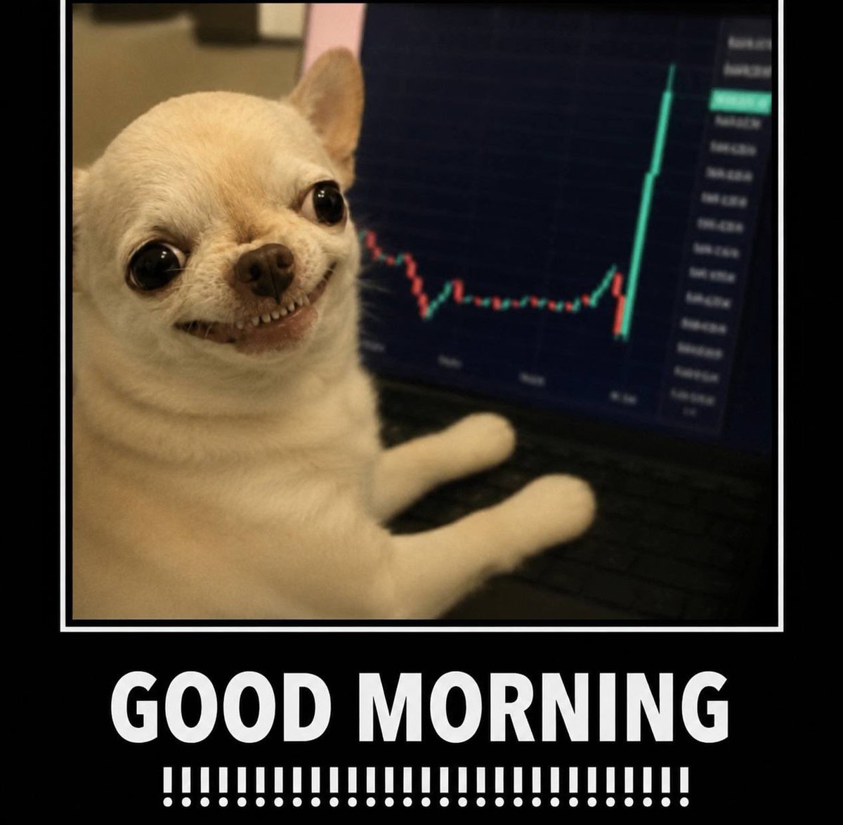 Evildogi tweet media
