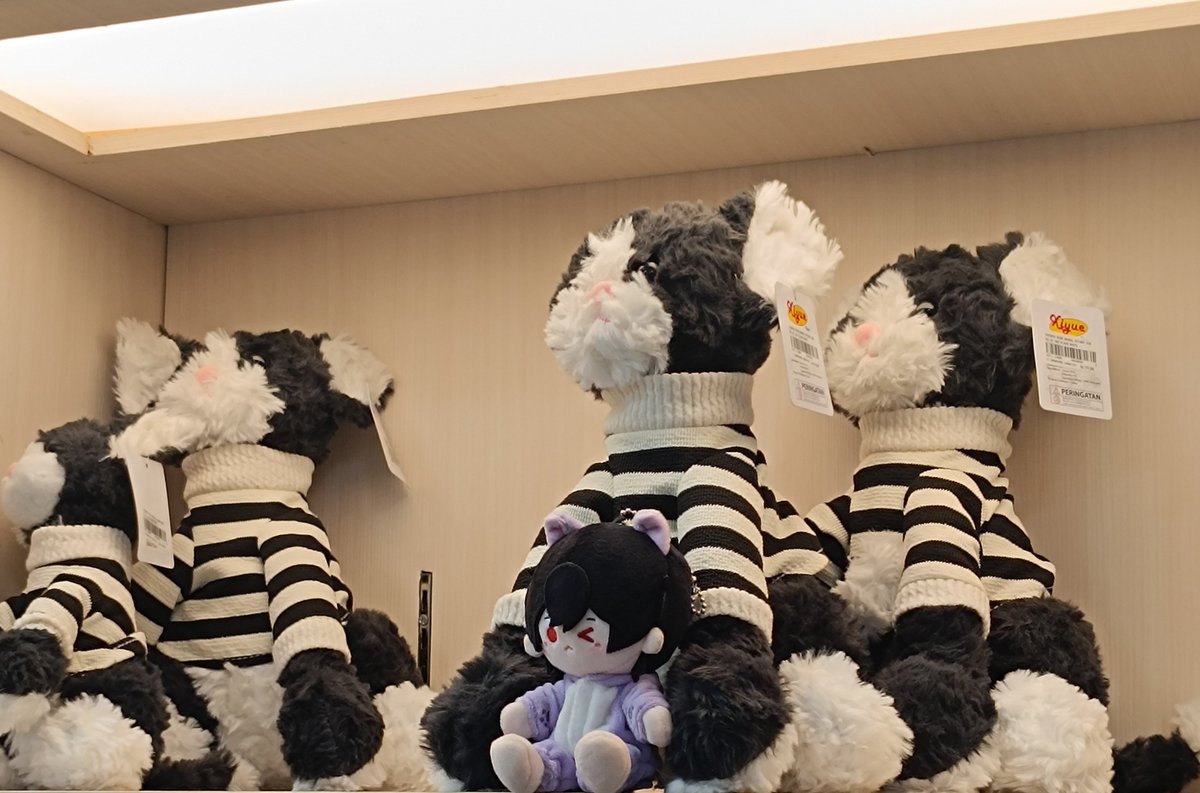 pacarsho's tweet photo. Spot the ayn games but the lil cat stands out too much... https://t.co/v426mrrmMX