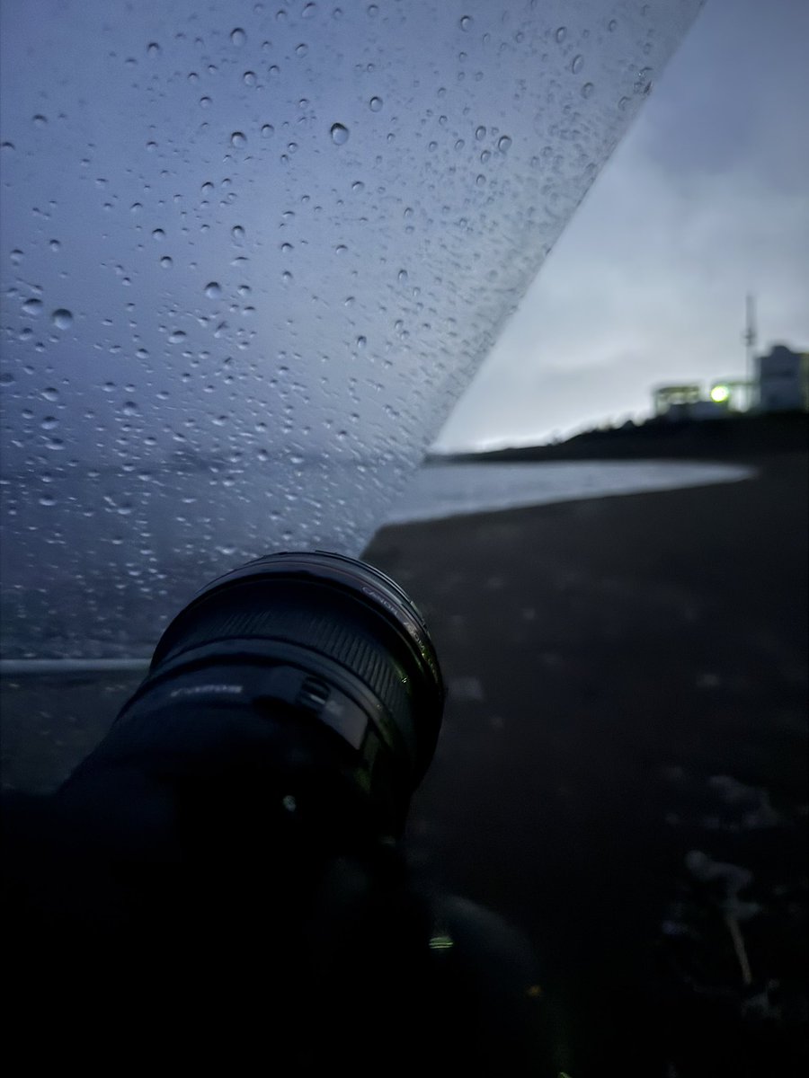 rrainn_man's tweet photo. 風と雨で最悪電気な柏崎
傘の下でひっそり我慢中
 #ぎおん柏崎 https://t.co/OYA5ddGbWL