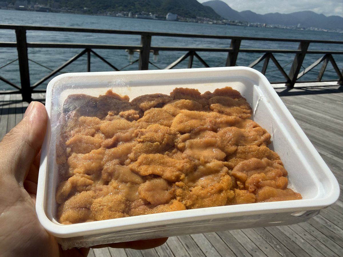 kunimitsu_k's tweet photo. たいへん暑い中、親族で下関へ。
祖母孝行、親孝行、姪と甥とも遊ぶ。
おじさんは大変ぞ😂

今は帰りの新幹線。
夏休みシーズンじゃ🍉 https://t.co/SuYxHi5OGd