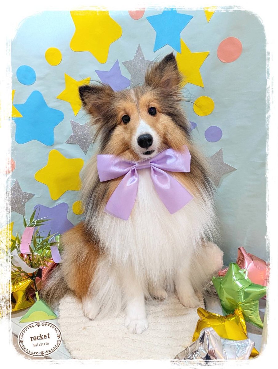 monet0311's tweet photo. ふわふわモネちん https://t.co/nXLkWqGybH