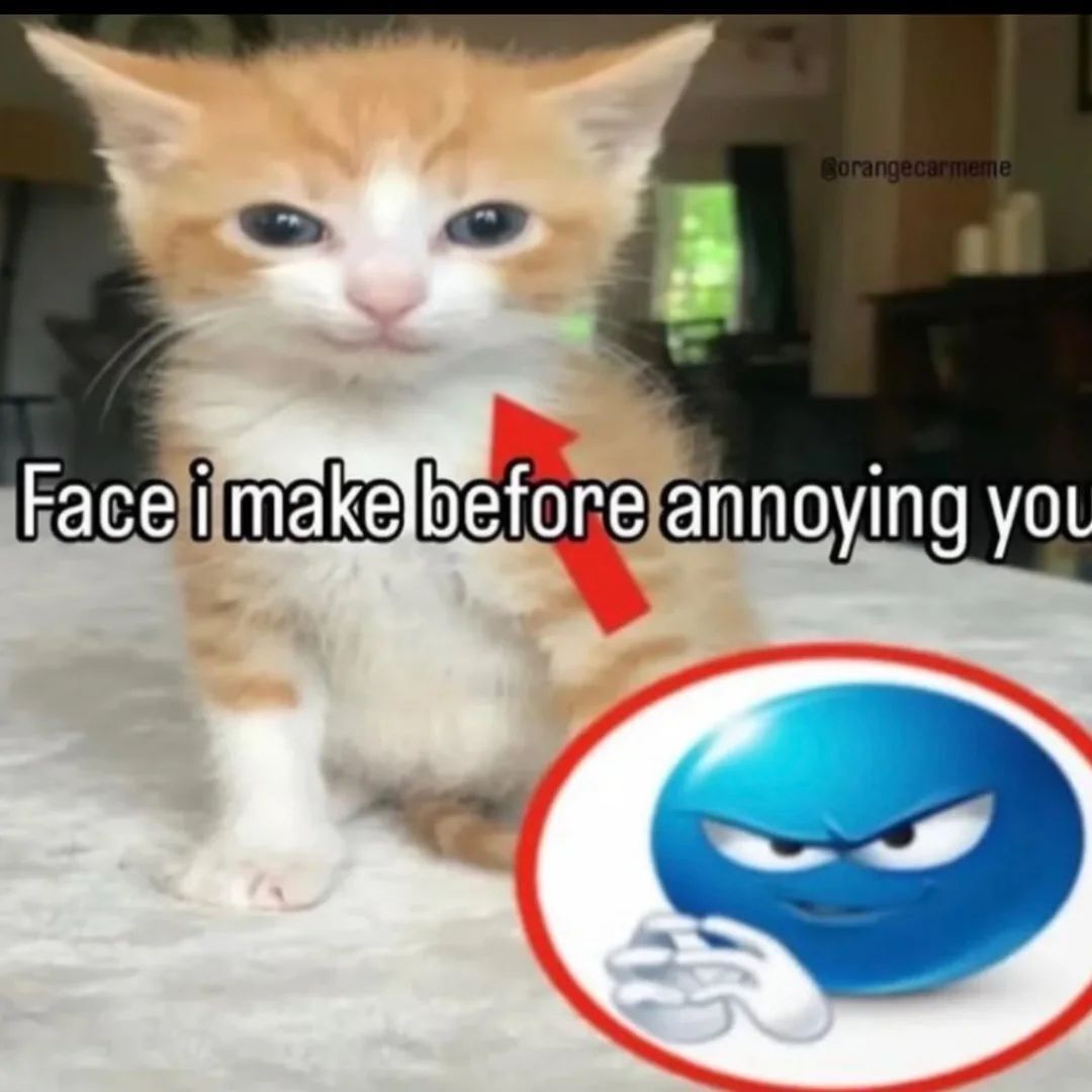 nocontextmemes's tweet photo. https://t.co/ofIukDgpU9