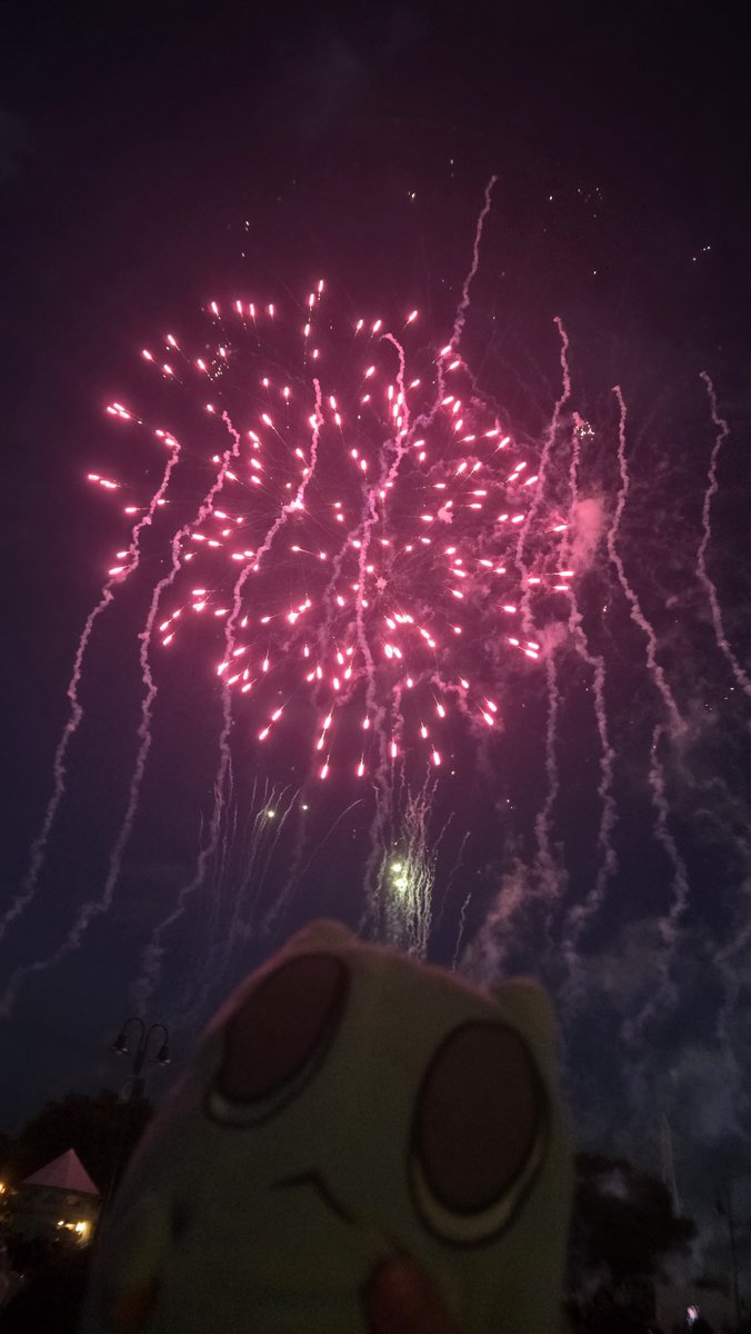 mikutan456's tweet photo. ごみだす、花火だよ https://t.co/OKWNsVsUBn