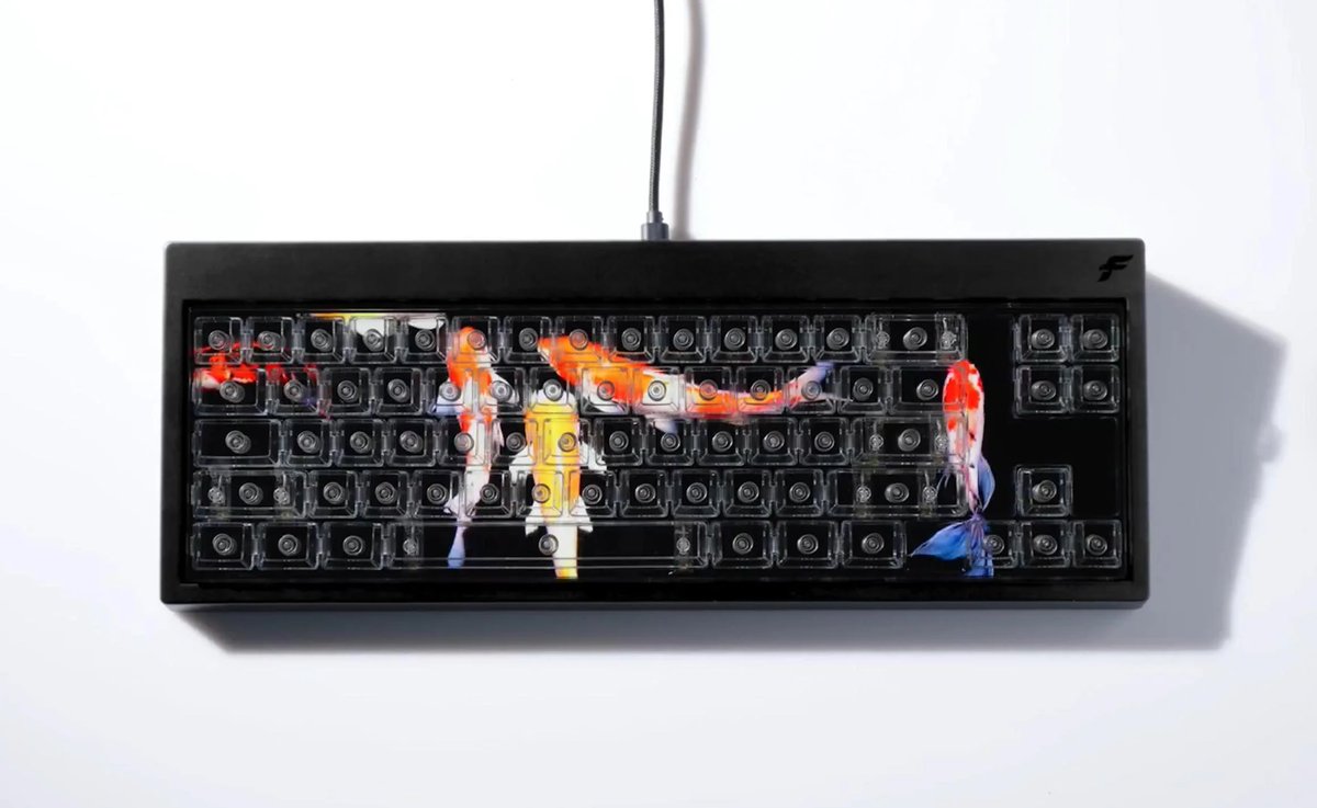mechyzme's tweet photo. Hello keyboard warriors 👋 
Anyone interested in a #Finalmouse Centerpiece Keyboard? 

Condition: Sealed 📦 
DM FOR PRICE! 
Shipping &amp; customs depending on country will be handled by the buyer. https://t.co/jXspNgPdak