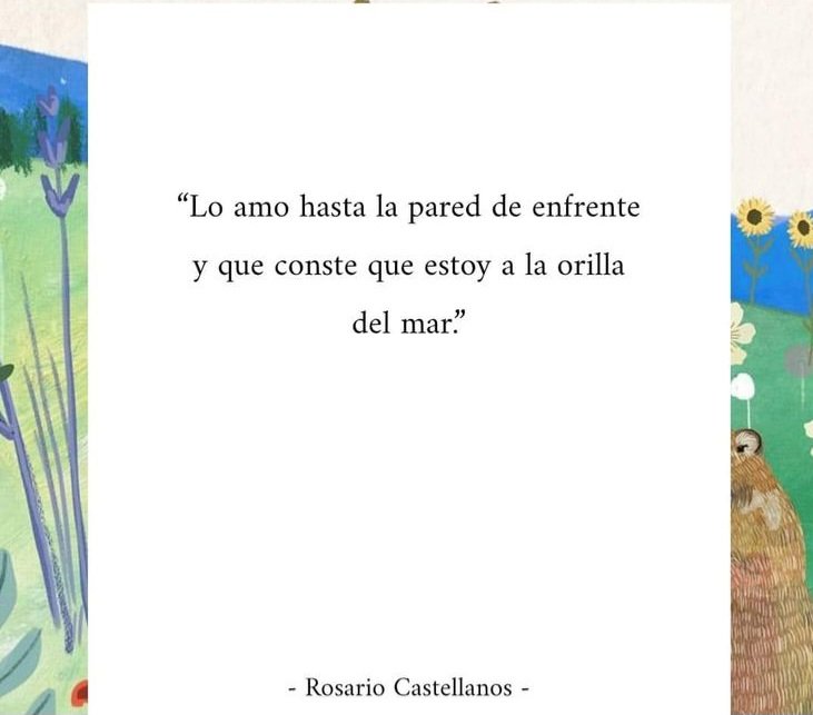 aguiarruz1's tweet photo. Rosario Castellanos y esas hipérboles necesarias porque, como decía Cortázar, "las palabras no alcanzan cuando, lo que hay que decir, desborda el alma". https://t.co/KONhL8ZmUd