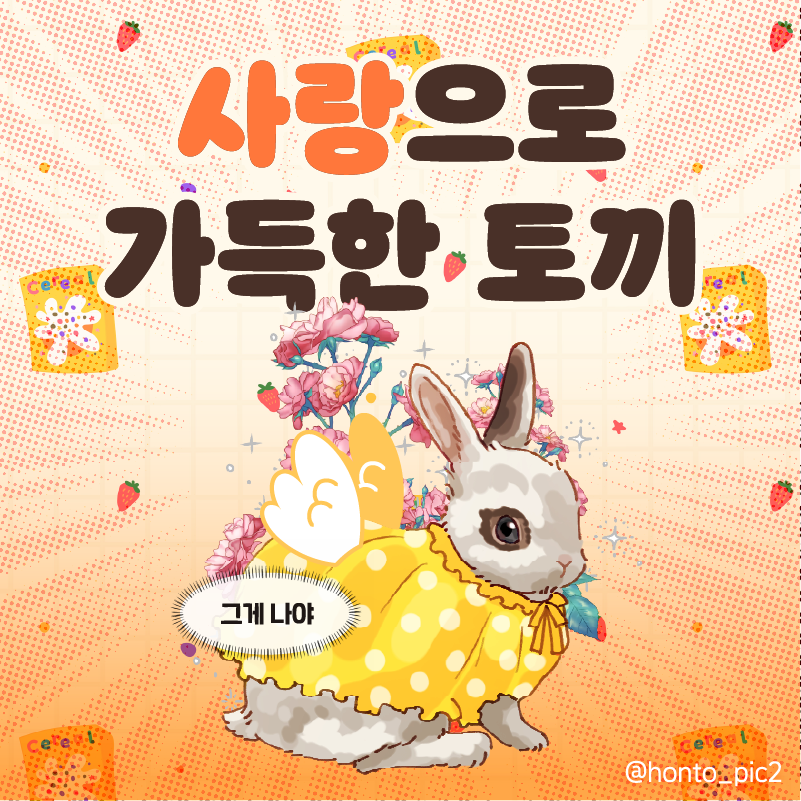 WhoFeedSarang's tweet photo. 안녕하세요, 사랑이웅니입니다🐰
세상에서 가장 사랑스럽고 소중한 사랑이의 평생 가족이 되어주실 분을 구하고 있어요 🩷🩷🩷🩷

이름: 사랑 (토끼)🩷🩷
성별: 여아 (중성화 완료 ⭕)
나이: 2025년생 추정

 (이어서) https://t.co/GUYbMl5vSl