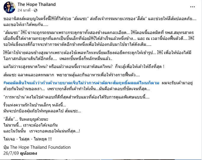 2themoon143's tweet photo. จากเพจ The Hope Thailand พี่ปุ๋มแจ้งว่า 
ตอนนี้ ส้มแซะ แอดมิดที่ รพส.สมุทรสาคร ได้ผ่าดามกระดูกที่แตกเป็นชิ้นเล็กที่น้อย เรียบร้อยแล้ว น้องฟื้นตัวดี รอให้แข็งแรงดี ก็อาจจะทำการผ่าตัดอีกข้างหนึ่งเพื่อให้น้องกลับมาใช้ขาได้ดังเดิม.. 
ขอส่งกำลังใจให้น้องส้มแซะ แมวสีส้มขาพิการอีกหนึ่งตัว ที่มีคนพบเจอ ขณะทำการค้นหาน้องส้มส้ม 
ขออานิสงส์ผลบุญในครั้งนี้ ที่เกิดขึ้นระหว่างการตามหาน้องส้มส้ม ทำให้ทีมค้นหาได้ช่วยน้องส้มแซะ ส่งถึงเจ้ากรรมนายเวรของน้องส้มส้ม และช่วยให้น้องส้มส้มปลอดภัย และขอให้ทีมค้นหาพบเจอน้องส้มส้มโดยเร็ววันด้วยเถิด 🙏🙏

#แมวหายบนรถไฟ #แมวหาย