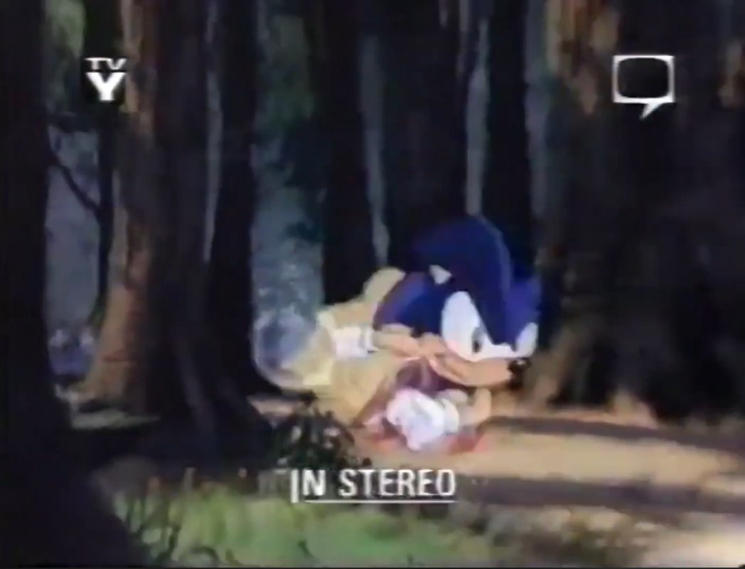 AoSthtumble's tweet photo. It's now the turn of Sonic https://t.co/8HVb5h32bk