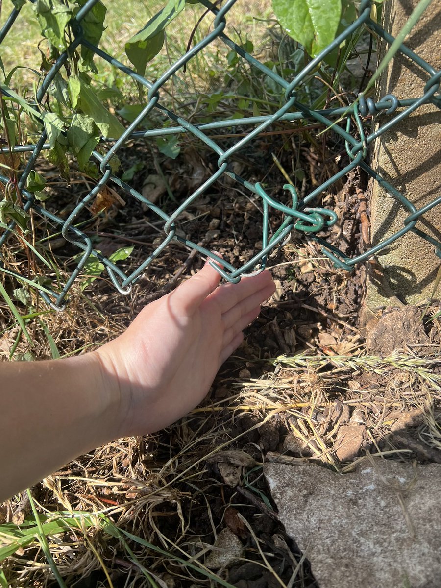 LucilleAllen96's tweet photo. @PinnacleSF please explain to me how you class this as safe? there's sharp wire sticking out, my dog has got stuck, my clothes and hand have been cut on the fence! 'awaiting approval' ... more like me awaiting a tetanus jab!! 😡 https://t.co/h3WRsrxmdP