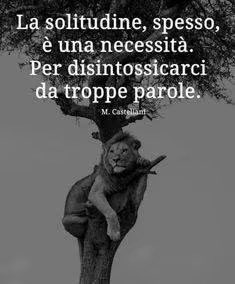 annamariamoscar's tweet photo. https://t.co/MhoKfiIiuU