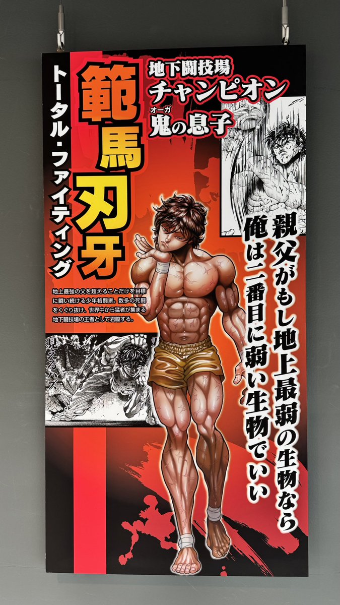 haru_manul tweet media