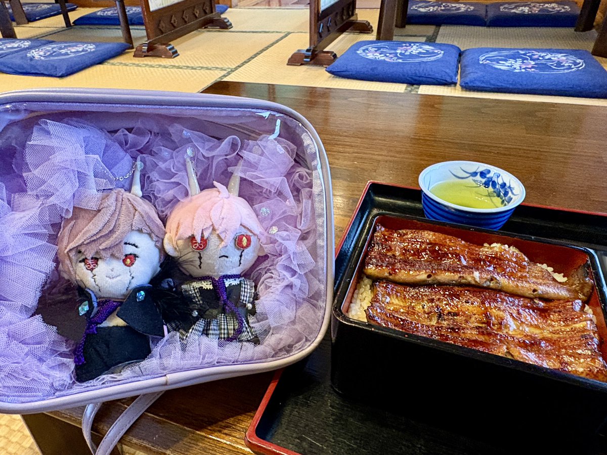 konoha_WHB's tweet photo. フォラス、土用の丑の日だよ✨ https://t.co/riNXmKggr8