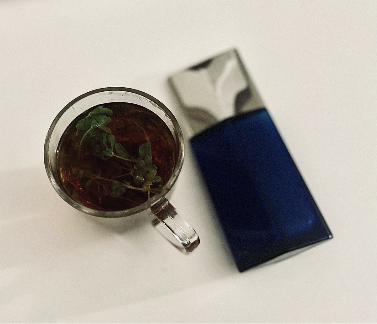 perfumelover01's tweet photo. شاهي بنكهة الدوش المديني النبتة الجميلة ولها فوائد صحية كثيرة 

وعطر لو بلو ايسي مياكي الذي اشم فيه دوش  عشبي خشبي رائع هذا المزيج يعطيك روقان واستكنان اخر حلاوة 

درجة الحرارة فوق ٤٠ لكن الشاهي حلاته في الحر 😅

🫖💙

#رابطة_عشاق_العطور https://t.co/nB0EOtCCiT
